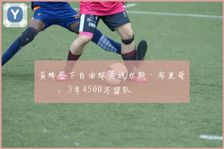 黄蜂签下自由球员迈尔斯·布里奇斯，3年4500万留队